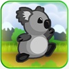 Koala Bear Zoo Animal Escape Run