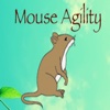 Mouse Agility