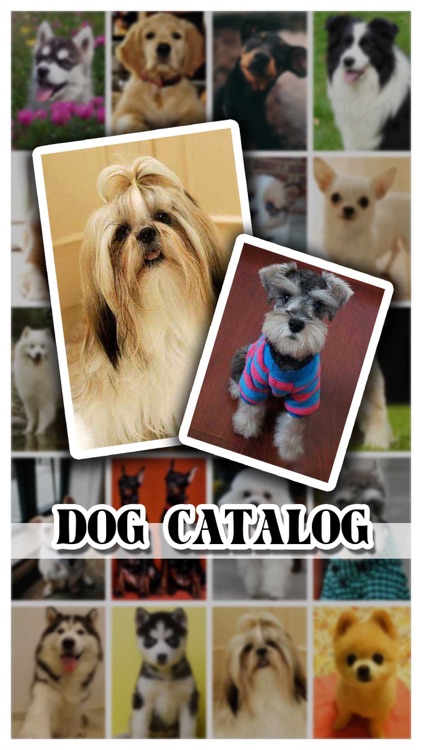 Dog Catalog HD - Photo Gallery & Wallpapers of Dog Breads FREE