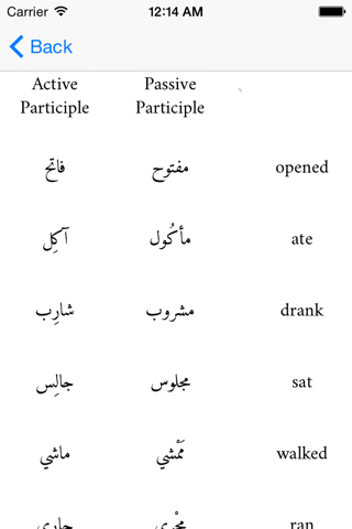Arabic Tenses and verb Conjugations screenshot 2
