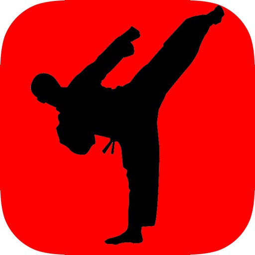 Learn Karate - Beginner's Guide