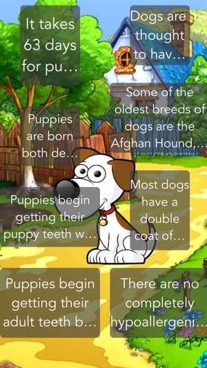 My Pet Dog Trivia(圖1)-速報App