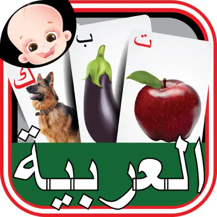 Kids Arabic Alif Baa Ta Huruf Flash Cards Cheats