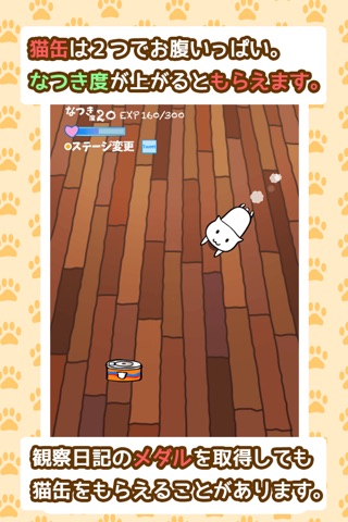 Nekokatsu -Cute neko cat simulator- screenshot 4