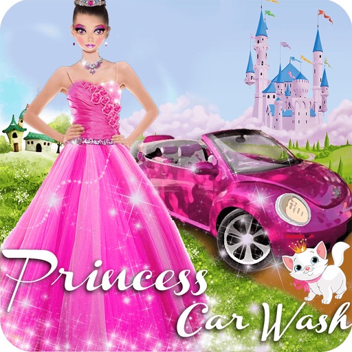 Princess Car Wash Icon