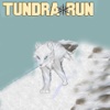 Tundra Run Dash
