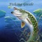 Fishing Guide is the complete video guide for you to learn Fishing