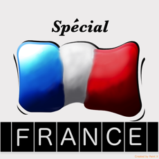 Activities of Zoom Quiz -Spécial France-