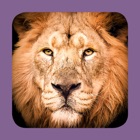 Top 23 Reference Apps Like Sasol Soogdiere vir Beginners (Lite): Blitsfeite, foto's en video's van 46 Suider-Afrikaanse diere - Best Alternatives