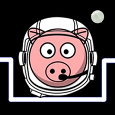 Activities of Space Pigs