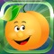 Fruits Puzzle - Play Memory