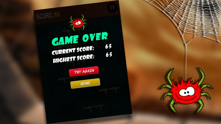 Itsy Bitsy Spider Game - Help Incy Wincy Up The Wall screenshot-3