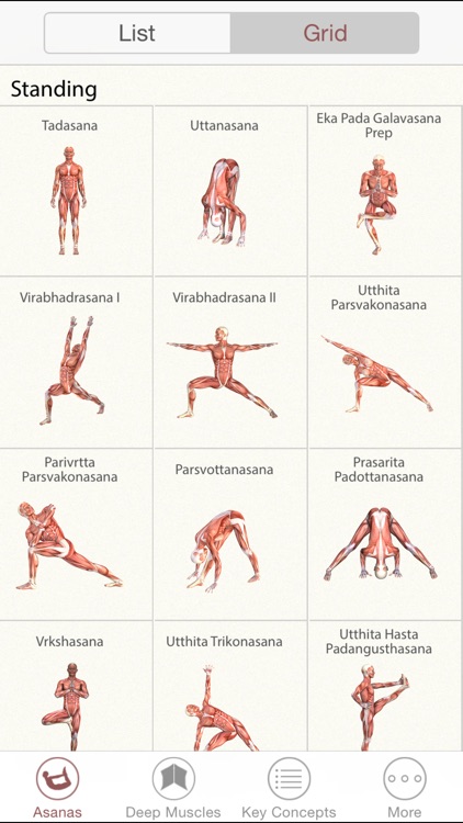 3D Yoga Anatomy screenshot-3