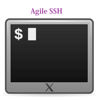 Agile SSH Client - GUI for SSH which support public/private keys authentication and multiple windows sessions PC 용