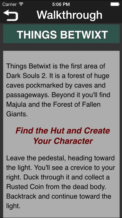 Gamer's Guide for Dark Souls II