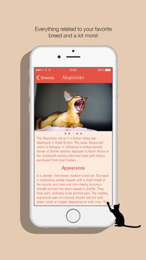 I <3 cats(圖5)-速報App