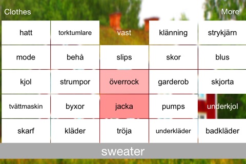 Swedish Bingo screenshot 2