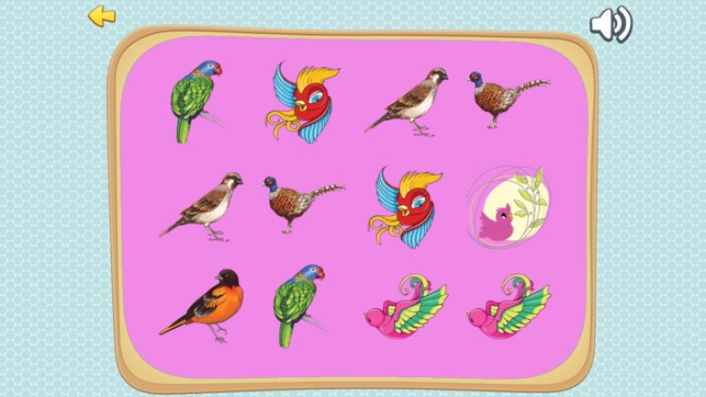 Improve Your Kids Brain With Matches Bird Cards(圖2)-速報App