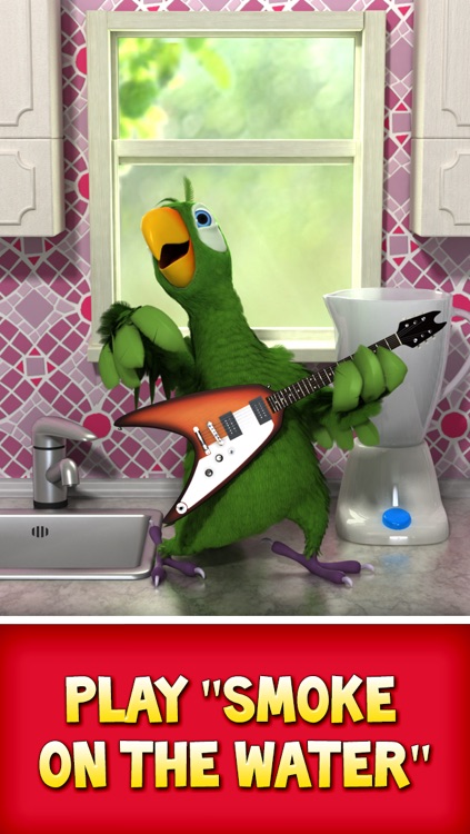 Talking Pierre the Parrot