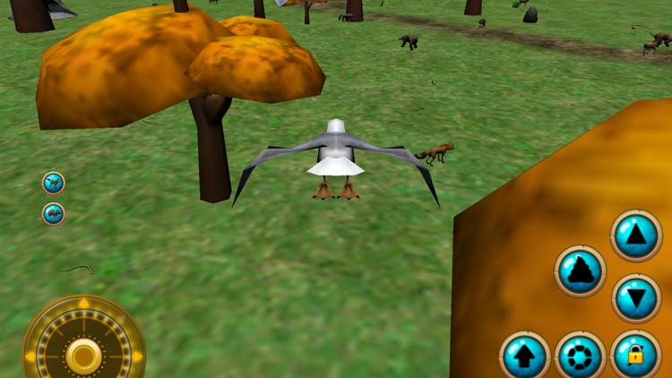 Seagull Bird Simulator