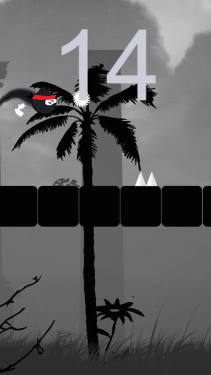 Bouncy Ninja - Endless Arcade Hopper screenshot-3