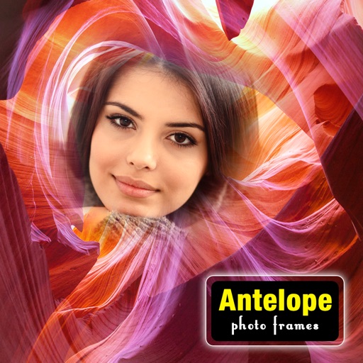 Antelope Photo Frame icon