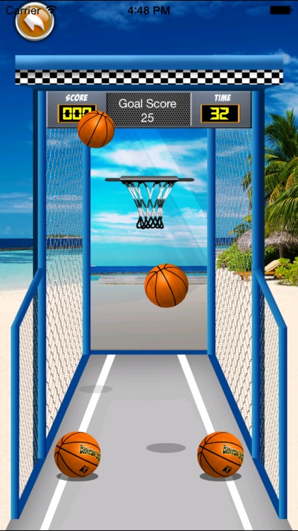 Amazing Real Basket Ball Free Game