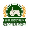 安徽生态养殖网
