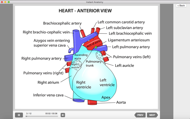 Instant Anatomy(圖2)-速報App