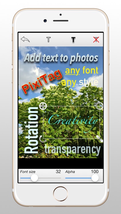 PixiTag LT: Text On Photo