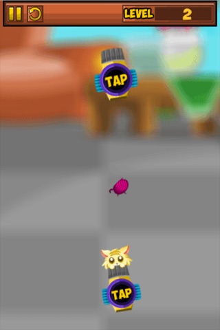Kitten Bounce - Launch Kitten screenshot 4