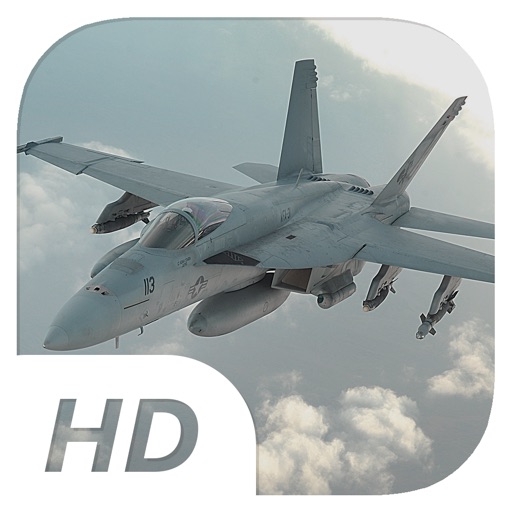 Angry Eagles HD - Fly & Fight - Flight Simulator iOS App