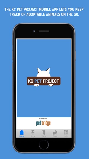 KC Pet Project(圖1)-速報App