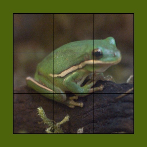 Frog Puzzles Extreme! iOS App