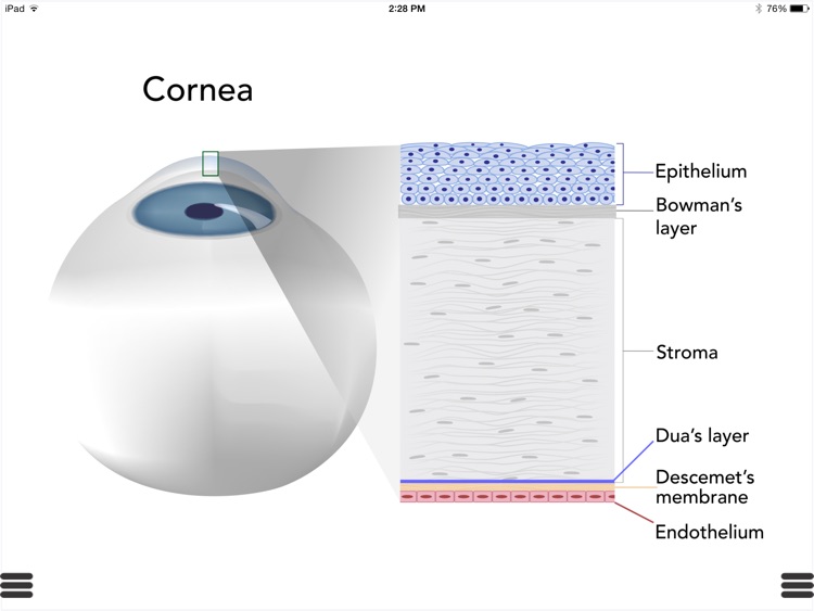 Ophthalmic Media Library screenshot-3