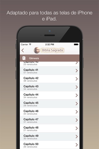 Bíblia Sagrada Lite screenshot 4
