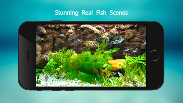 Tanked Aquarium 3D - Relaxing Underwater Coral Reef Scenes w(圖2)-速報App