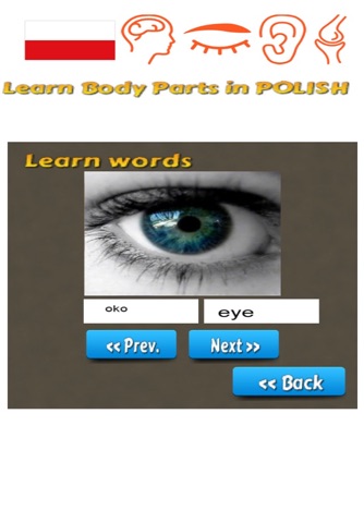 Learn Body Parts in Polish screenshot 3