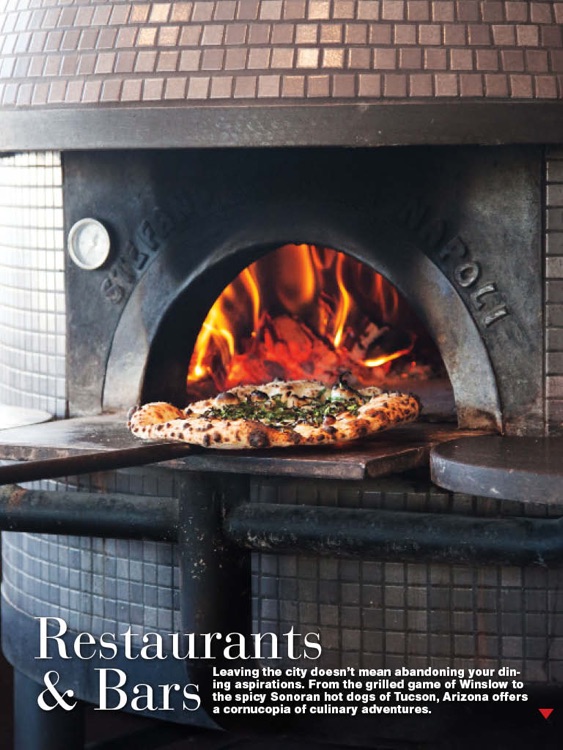 Phoenix Magazine 2015 Arizona Travel Guide