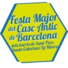 Festa Major Casc Antic 2015