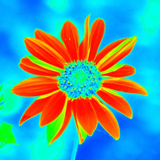 Thermal Camera Effect by Jin Jeon