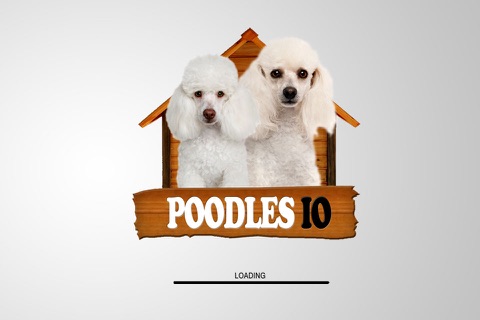 Poodles IO screenshot 4