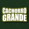 Cachorro Grande