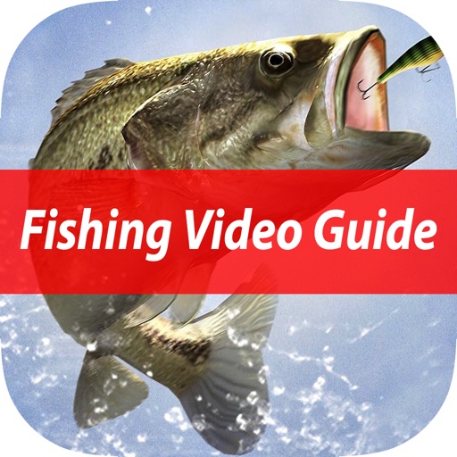 Easy Beginner's Fishing School - Best Basic Video Guide & Tips For Learn Catching Fresh Water Fish To Sea icon