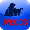 IVECCS 2015