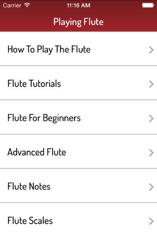 How To Play Flute - Ultimate Learning Guide screenshot 3