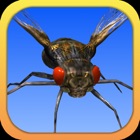 Top 20 Games Apps Like Angry Flies - Best Alternatives