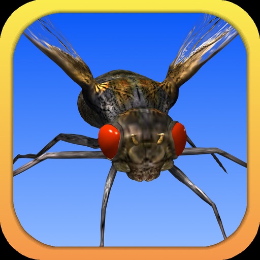 Angry Flies Icon