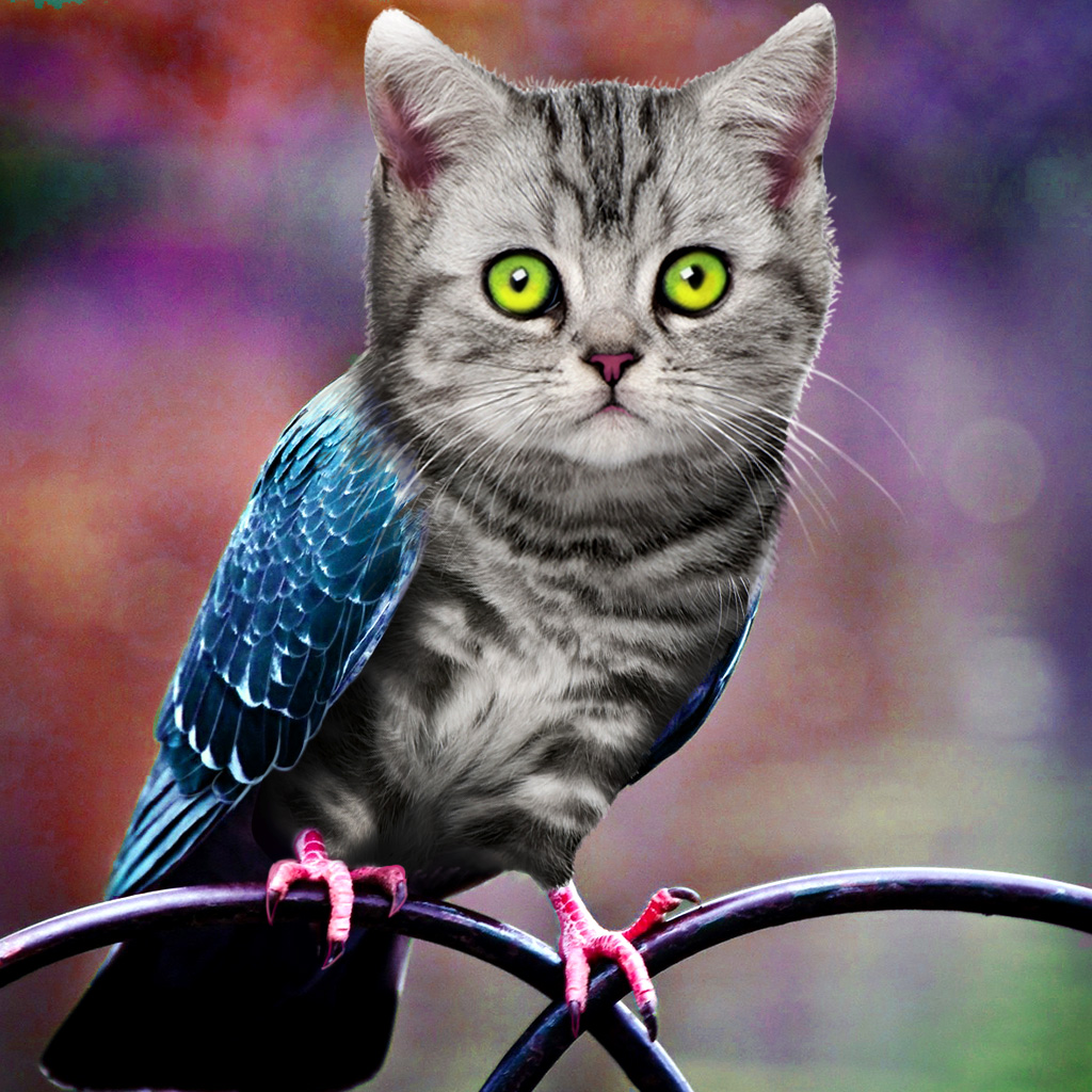 Get Simulator Morph Animal for iOS, iPhone, iPad Aso Report