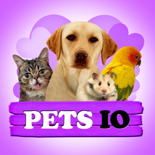 Pets IO icon